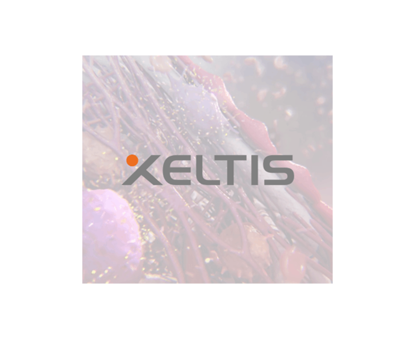 Xeltis Image